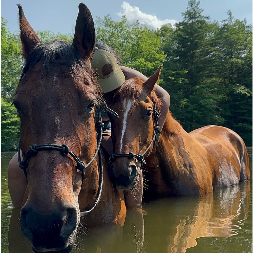 Meet your Posher, Lydia